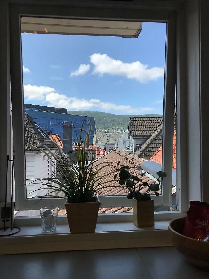Bergen City Apartments, Halvkannesmauet 12 Appartement